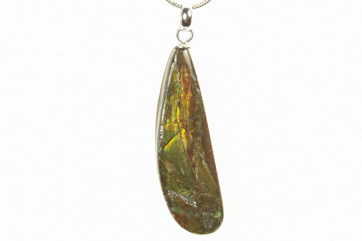 Brilliant Ammolite Pendant (Necklace) - Alberta, Canada #296040